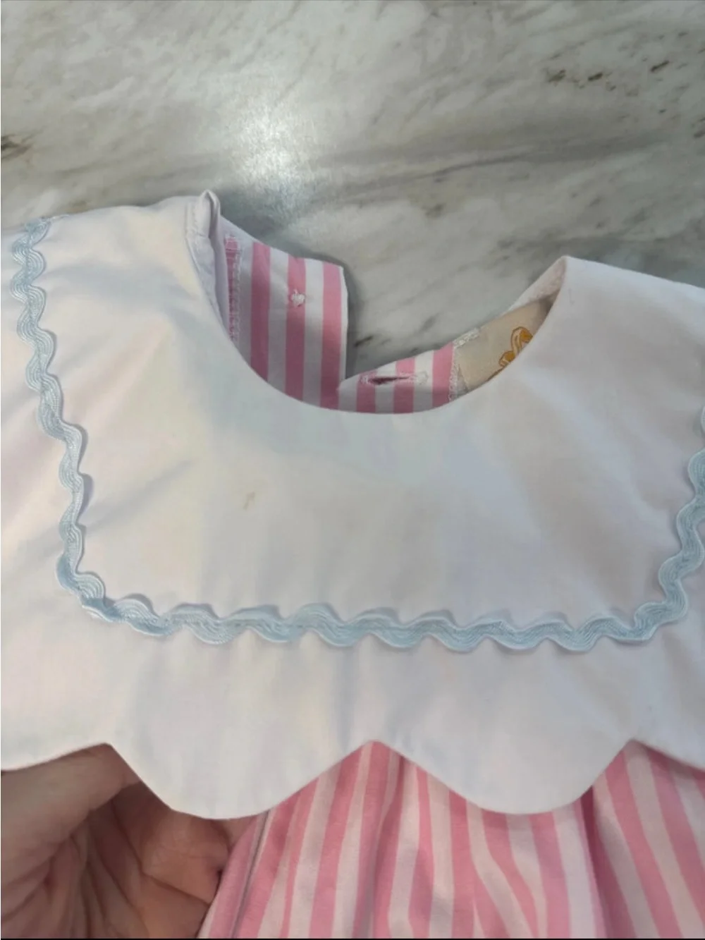 TBBC Sydney Scallop Set